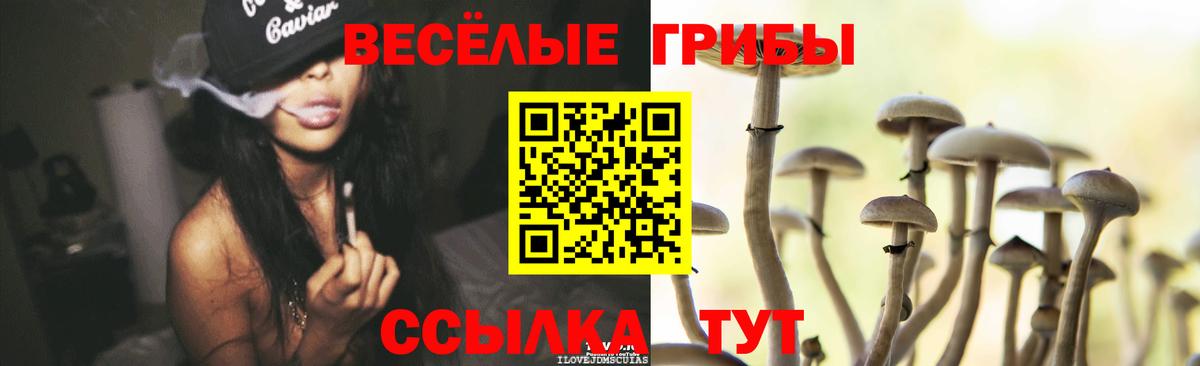 Псилоцибиновые грибы мицелий  Вход с VPN  Сергиев Посад 